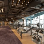 Commercial Gyms & Fitness Centers