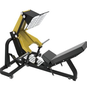 45 Degree Leg Press
