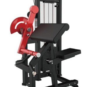 Python-019 Biceps Curl