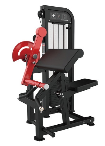 Python-019 Biceps Curl