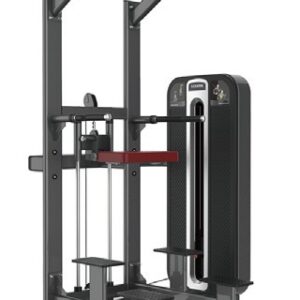 Titanium-020 Assisted Chin Dip