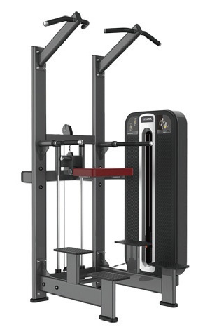 Titanium-020 Assisted Chin Dip